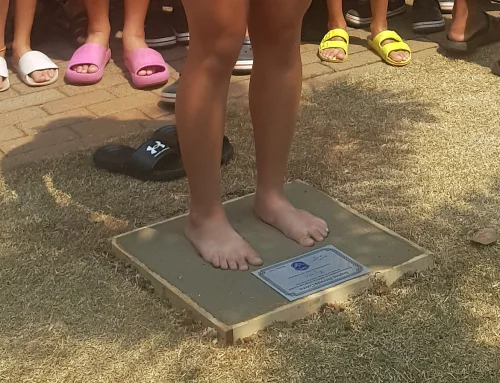 Homenagens para medalhista mundial de natao Sophia Coleta