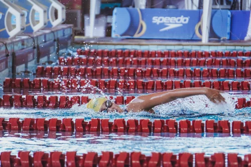 Campeonato Paulista Petiz de Vero - de 1 a 3 de dezembro de 2023