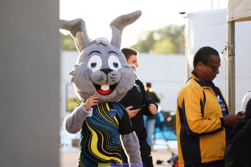Campeonato Brasileiro Infantil de Natao de Inverno (galeria 3 mascotes) - de 10 a 14/06/2025