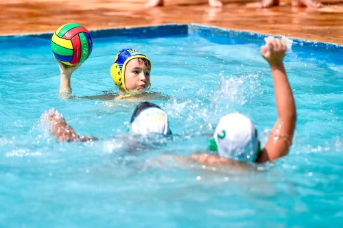 1 Festival Baby Polo ABDA - polo aqutico - 01/11/2025