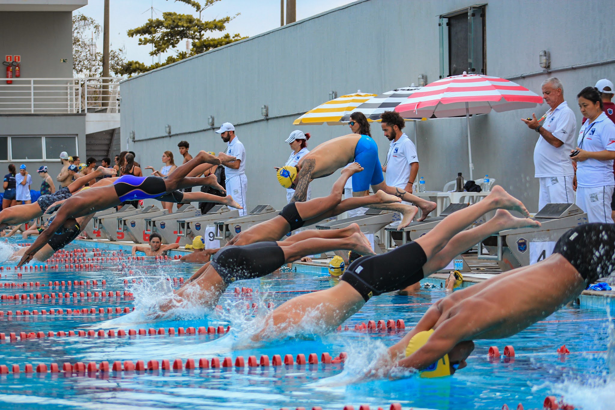 ABDA conquista 362 medalhas em Torneio Regional de natao