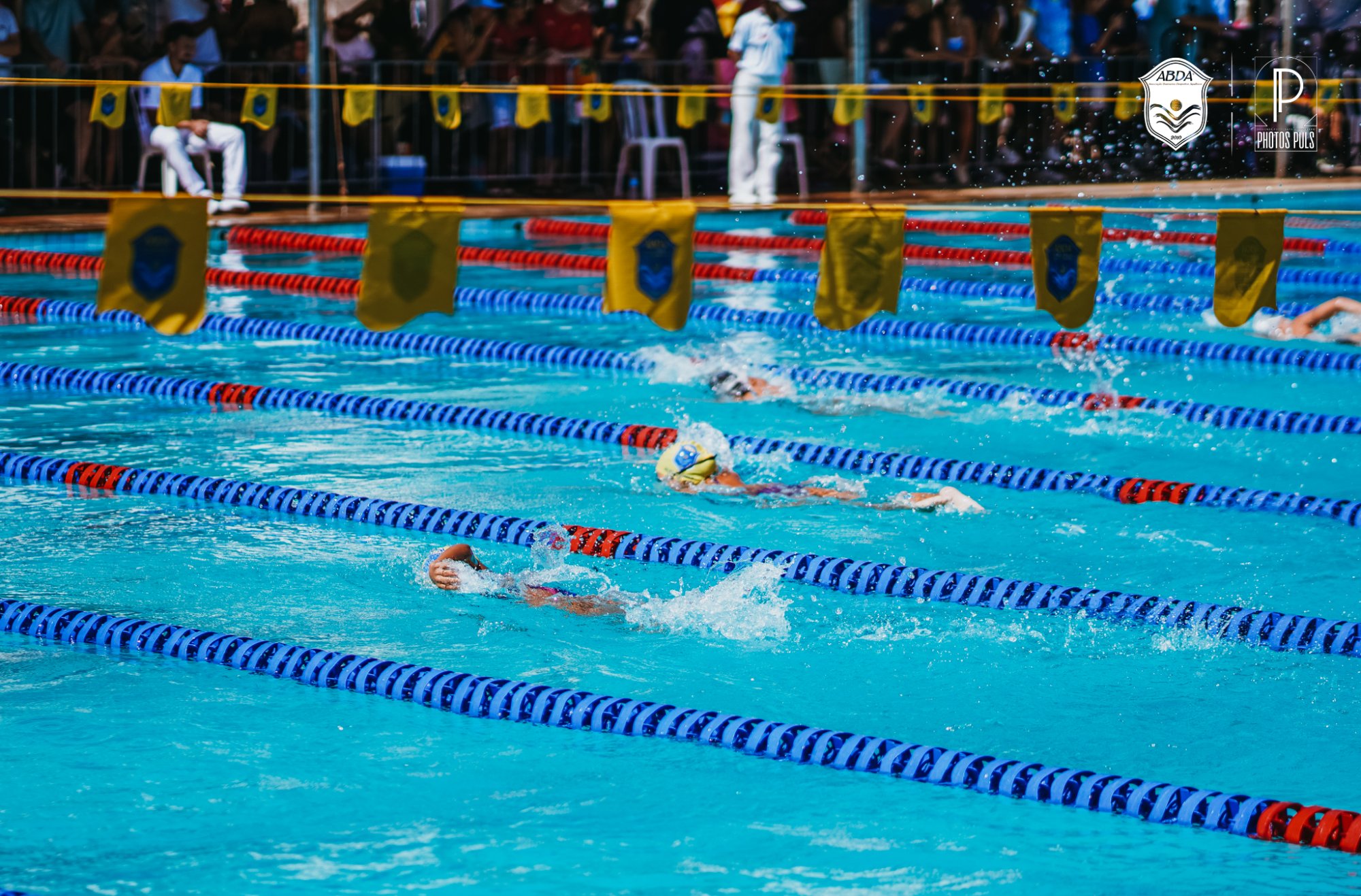 ABDA conquista 267 medalhas no 3� Torneio Regional de nata��o